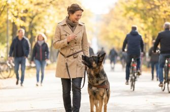 Дрессировка собак в городском парке Мария Соколова обучает овчарку Мухтара команде рядом на фоне аллеи